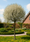 Image to render