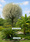 Image to render