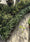 Image to render