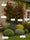Image to render