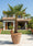 Image to render