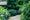 Image to render
