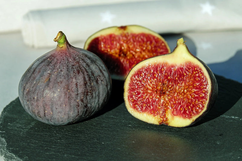 Figuier Noire de Caromb (Ficus carica Noire de Caromb)