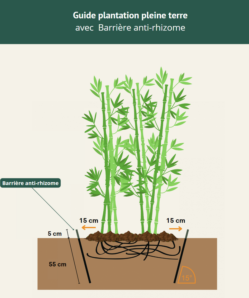 Barrière anti-rhizome (au mètre linéaire)