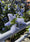 Image to render