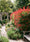 Image to render
