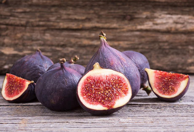 Figuier Rouge de Bordeaux (Ficus carica Rouge de Bordeaux)