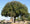 Image to render