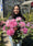 Image to render